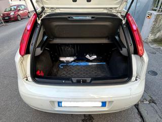 FIAT Punto usata 15