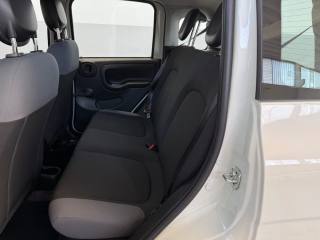 FIAT Panda usata 22