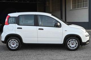 FIAT Panda usata, con Alzacristalli elettrici