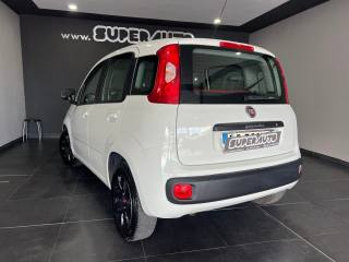 FIAT Panda usata, con Alzacristalli elettrici