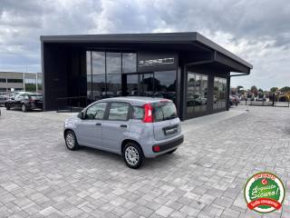 FIAT Panda usata, con Controllo trazione