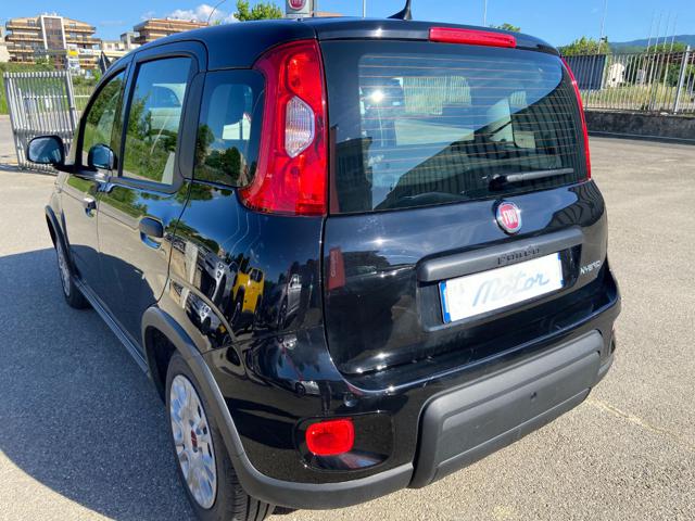 FIAT Panda usata 22