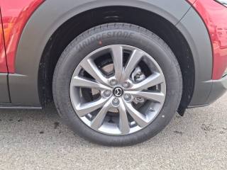 MAZDA CX-30 usata, con Boardcomputer