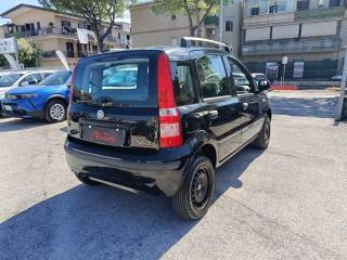 FIAT Panda usata, con Airbag Passeggero