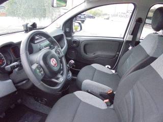 FIAT Panda usata 17