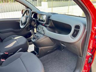 FIAT Panda usata, con Cruise Control
