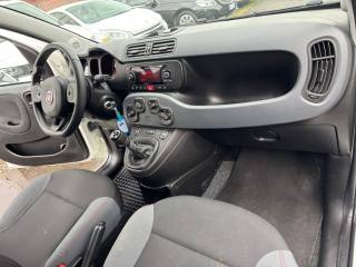 FIAT Panda usata, con Immobilizzatore elettronico