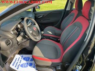 FIAT Punto usata 7