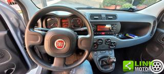 FIAT Panda usata 12