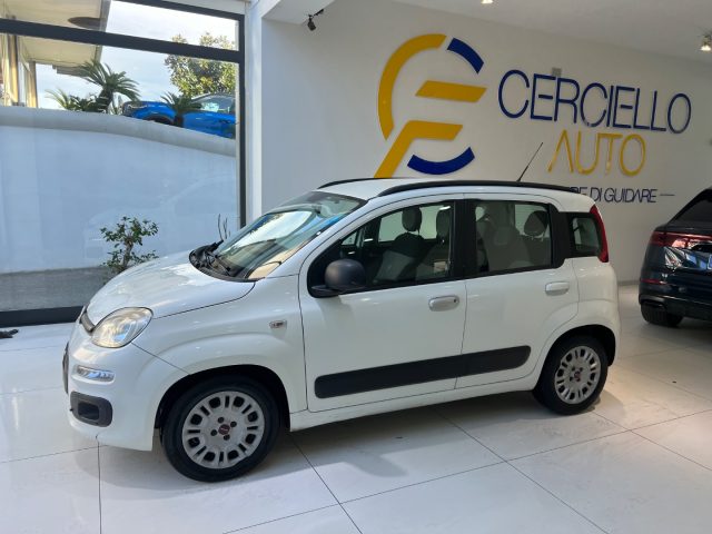 FIAT Panda usata, con Airbag Passeggero