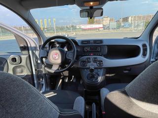 FIAT Panda usata, con Antifurto
