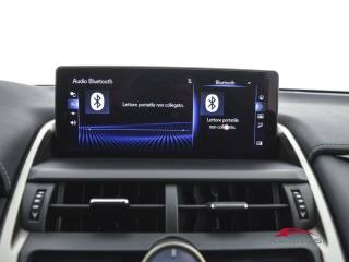 LEXUS NX 300h usata 14