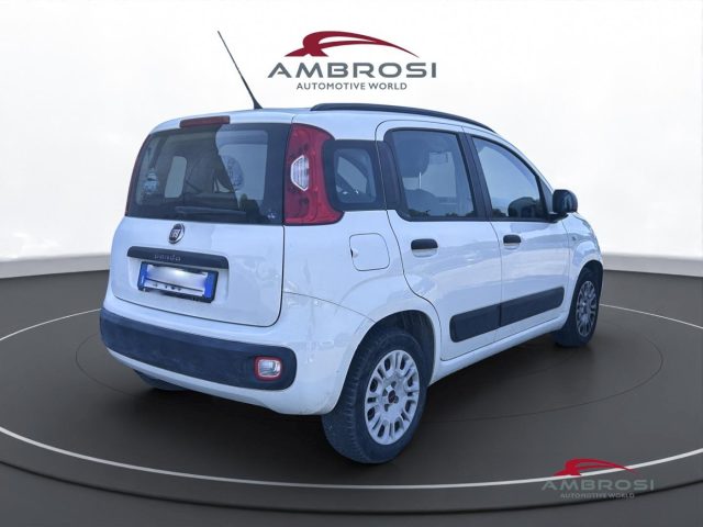 FIAT Panda usata 2