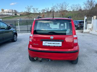 FIAT Panda usata, con Immobilizzatore elettronico