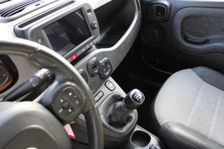 FIAT Panda Cross usata, con Controllo trazione