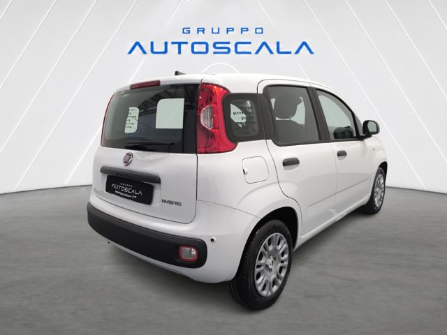 FIAT New Panda usata, con Alzacristalli elettrici