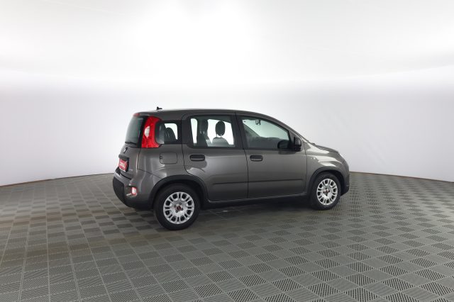 FIAT Panda usata 2