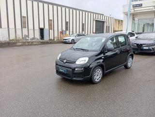 FIAT Panda *PROMO* 1.0 FireFly S&S Hybrid