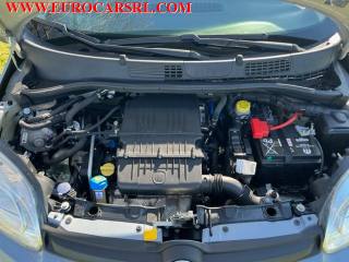 FIAT Panda usata 22