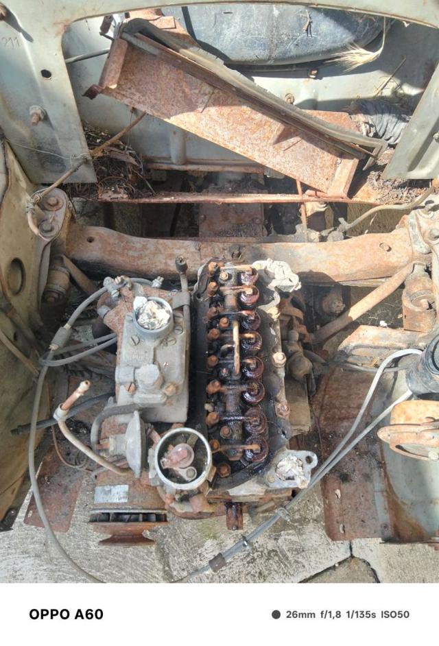 FIAT 500 usata 25