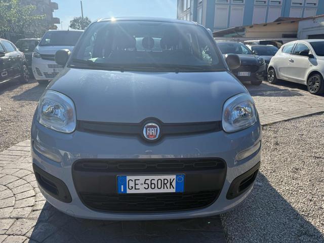FIAT Panda usata 13
