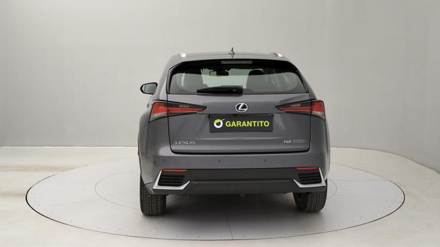 LEXUS NX 300h usata, con Airbag Passeggero