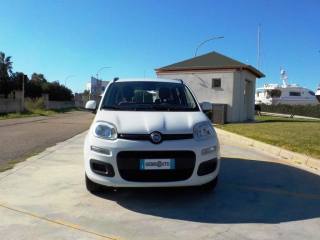 FIAT Panda usata, con Airbag