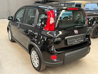 FIAT Panda usata, con Autoradio
