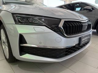SKODA Octavia usata, con Frenata d