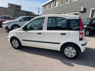 FIAT Panda usata 1