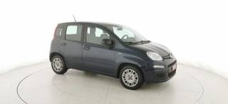 FIAT Panda usata 22
