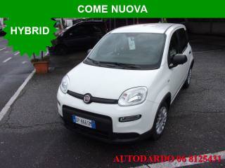 FIAT Panda usata, con Immobilizzatore elettronico