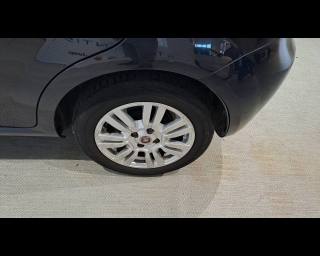 FIAT Punto usata, con Portellone posteriore elettrico