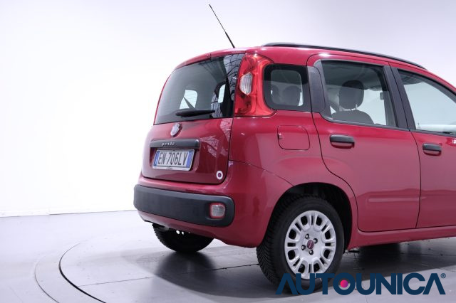 FIAT Panda usata 47