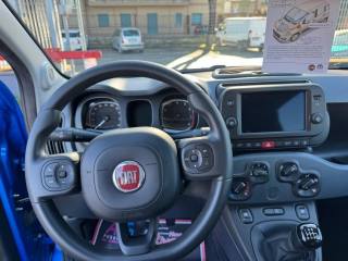 FIAT Panda Cross usata, con Cronologia tagliandi
