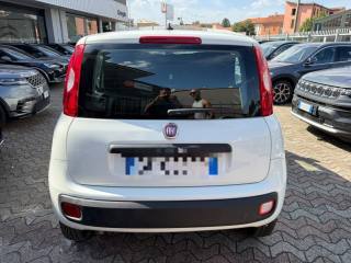 FIAT Panda usata, con Chiusura centralizzata