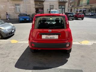 FIAT Panda usata, con Chiusura centralizzata
