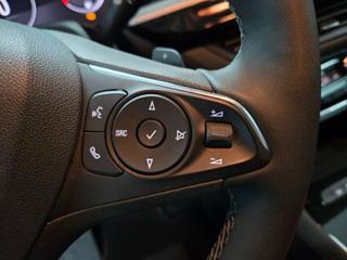 OPEL Grandland usata, con Cronologia tagliandi