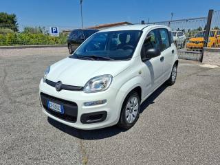 FIAT Panda usata 2