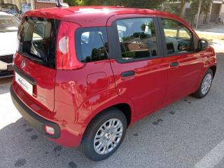 FIAT Panda usata, con Alzacristalli elettrici
