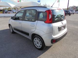 FIAT Panda usata, con Airbag testa