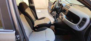 FIAT Panda usata, con Cronologia tagliandi