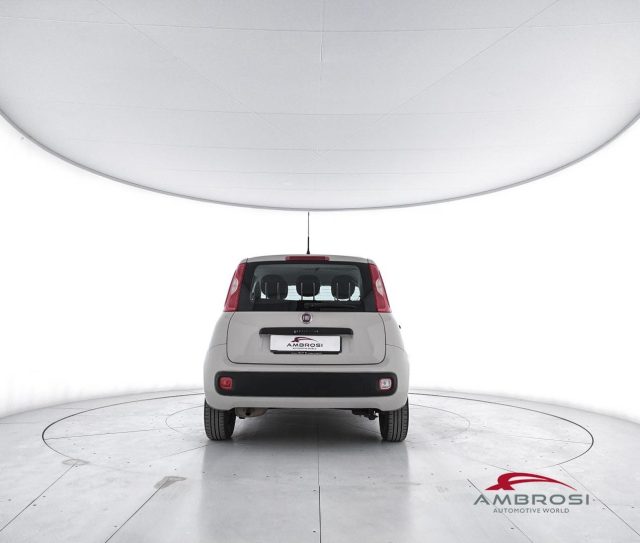 FIAT Panda usata 5