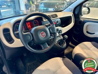 FIAT Panda usata, con Cronologia tagliandi