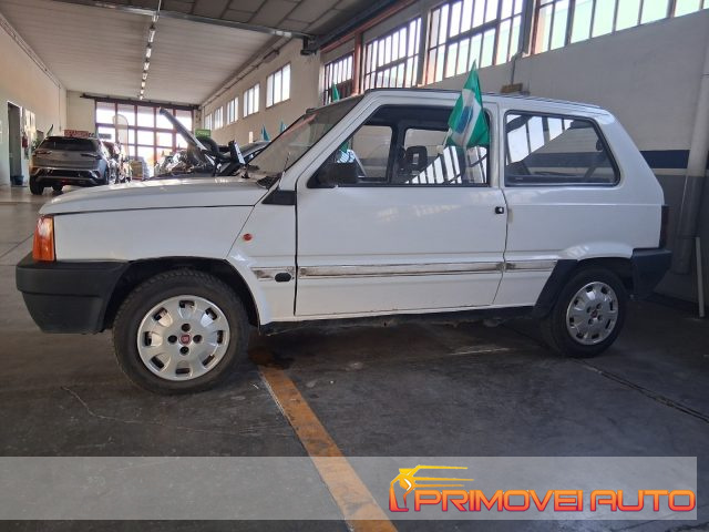 FIAT Panda usata 2