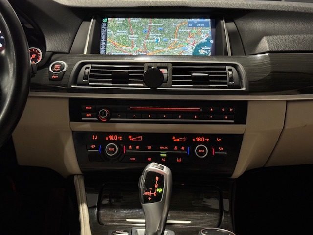 BMW 520 usata, con Fari Xenon