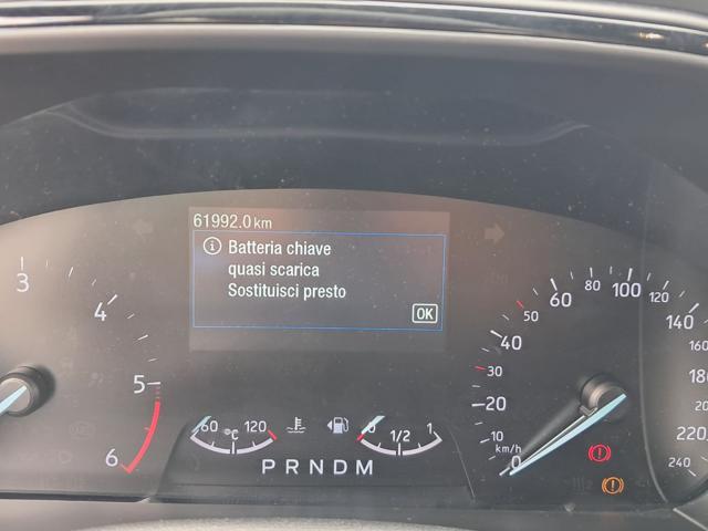 FORD Focus usata, con Sedile posteriore sdoppiato