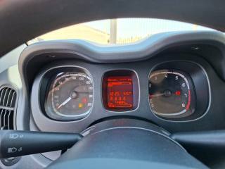 FIAT Panda usata 14