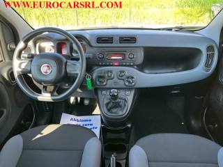 FIAT Panda usata 17