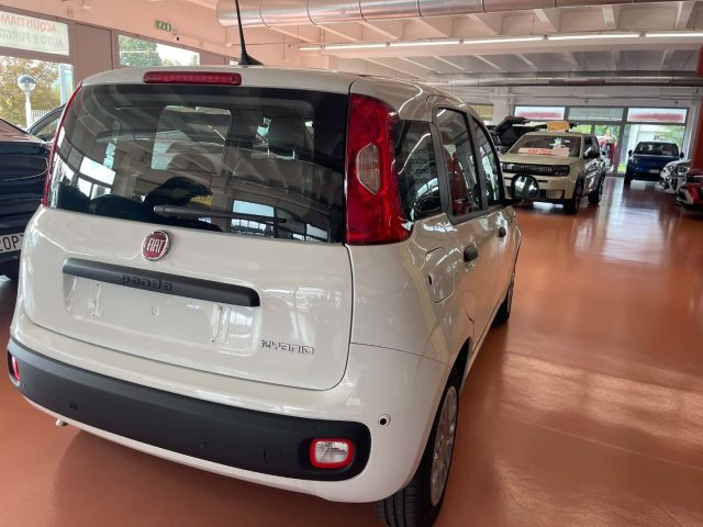 FIAT Pandina usata, con Airbag Passeggero